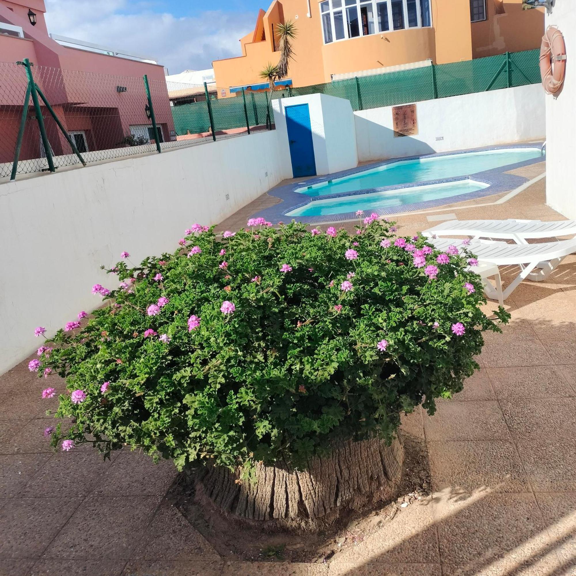 Vivienda Vacacional Alipatri Caleta De Fuste Εξωτερικό φωτογραφία